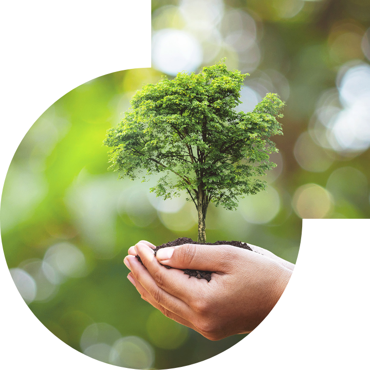 关怀人类、文化、环境与社会